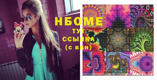 индика Бикин
