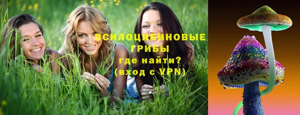 МДМА Новодвинск