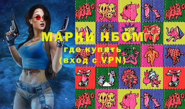 прущий лед Новозыбков