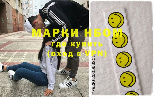 хмурый Нея