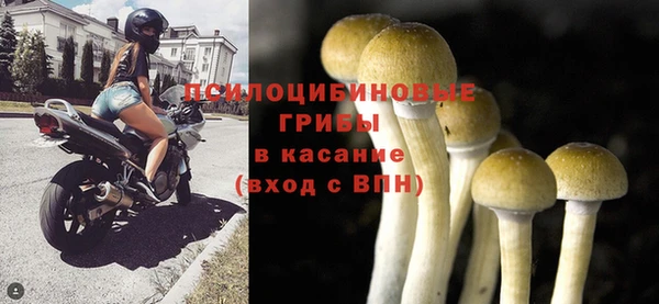 МДМА Новодвинск