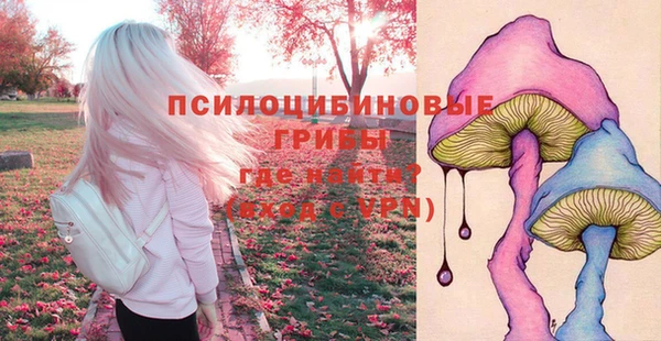 МДМА Новодвинск