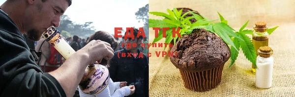 прущий лед Новозыбков