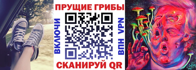 Галлюциногенные грибы мухоморы Ульяновск