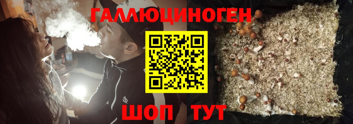 Псилоцибиновые грибы GOLDEN TEACHER  Вход с VPN  наркота  Ульяновск 